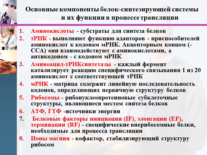Основные компоненты белок-синтезирующей системы  и их функции в процессе трансляции Аминокислоты - субстраты